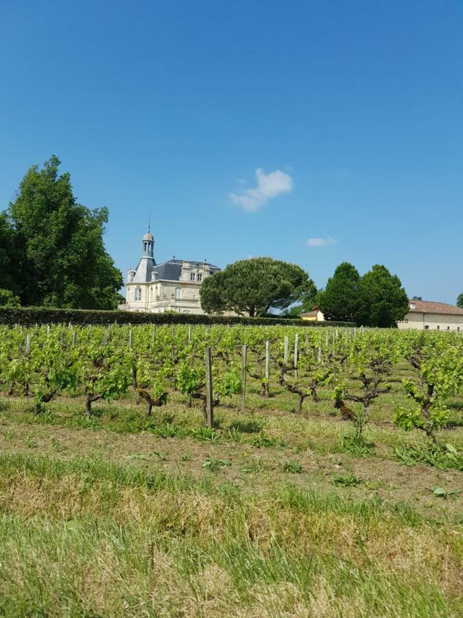 Chambre Independante "Terre Rouge" Martignas-sur-Jalle エクステリア 写真